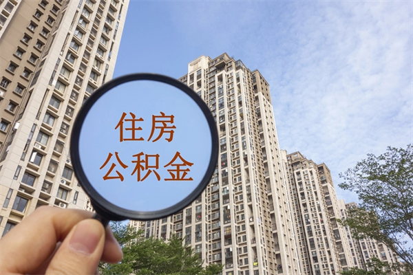 公积金黄牛怎么取出来（公积金 黄牛）